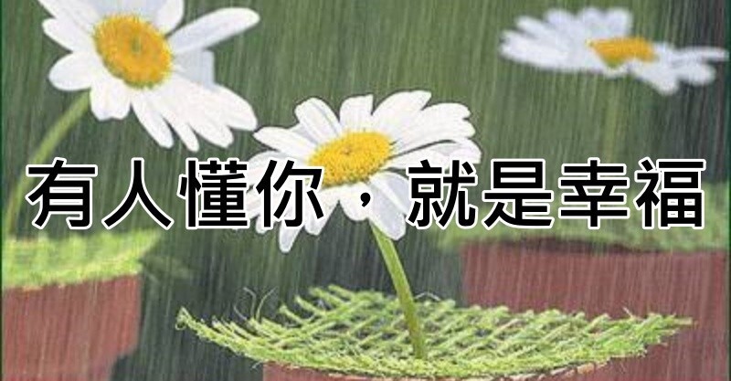 有人懂你,就是幸福     